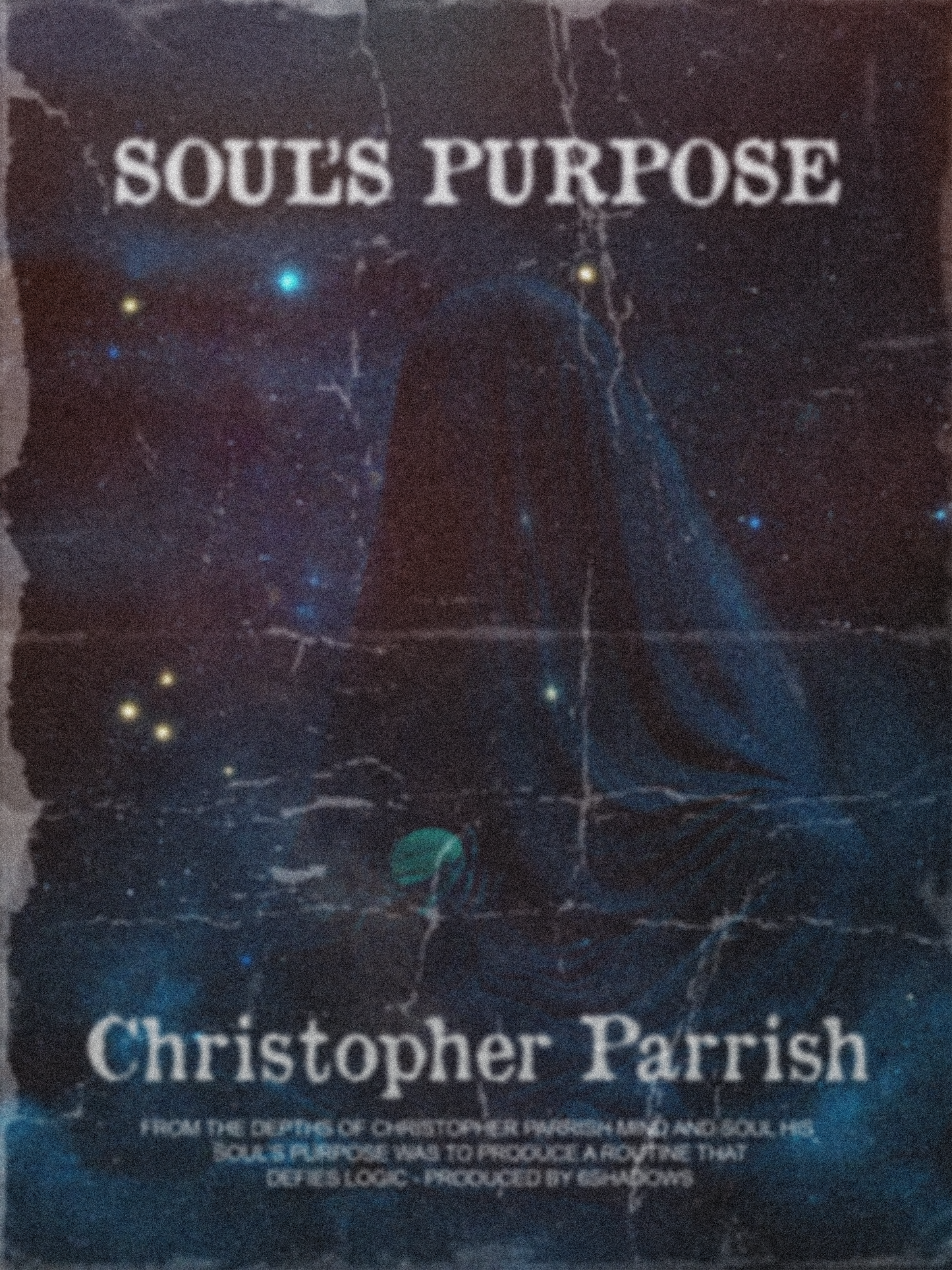 Soul's Purpose by Christopher Parrish